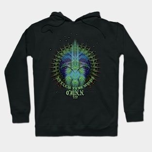 RELAX. SMOKE. GREEN. CDXX=420 Hoodie